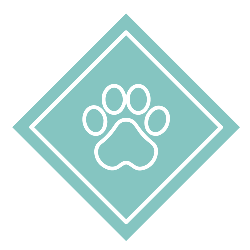 Paw Icon for dog friendly adventures